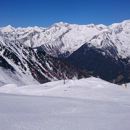 WILDLIFE SPORTS - CASCO DE SKI O SNOWBOARD ALPINE THREE