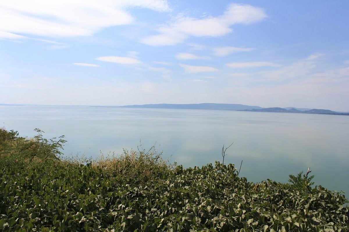 balatonfenyves