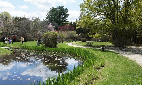 The Stroll Garden Pond