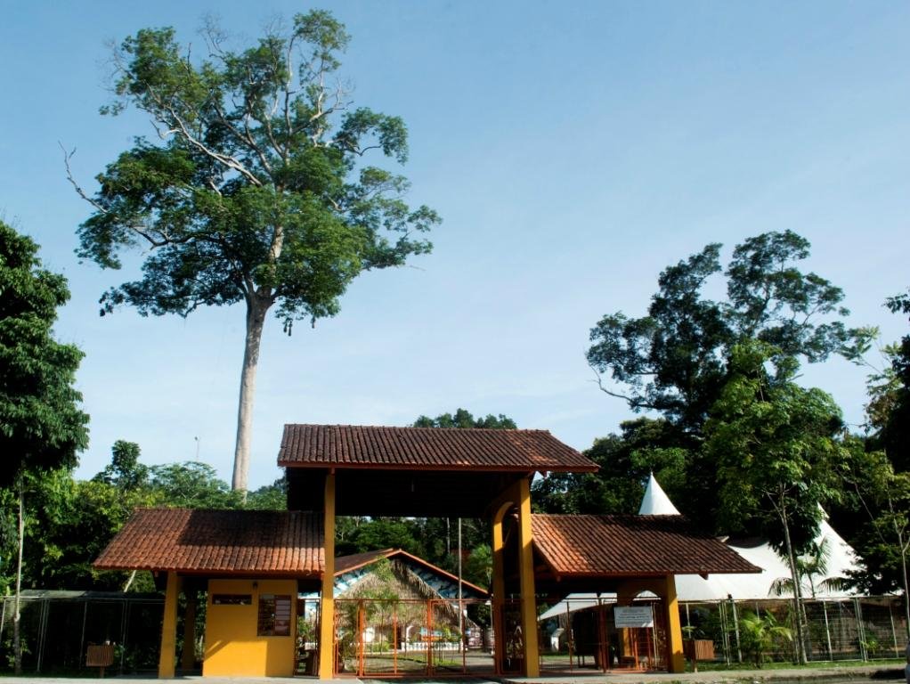 Musa é santuário para conhecer a flora amazônica no Dia da Árvore