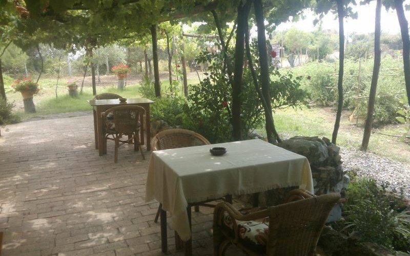 getlstd_property_photo