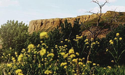 Stroll along the nature trails among ancient cottonwood trees and watch for bald eagles or white