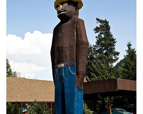 Smokey Bear Campground Resort Revelstoke Canada Fotos En Reviews Tripadvisor 6841