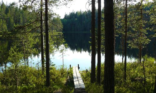 Joutsa, Finland 2023: Best Places to Visit - Tripadvisor