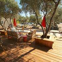 Poseidon Vineyard & Obsidian Ridge Tasting Room at Cornerstone Sonoma