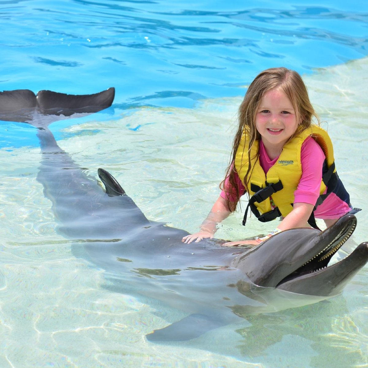 DOLPHINARIS CANCÚN - 2023 Qué SABER antes de ir (con Fotos)