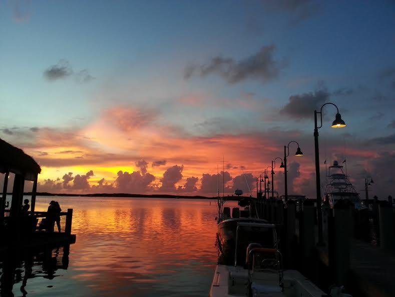 Easy Adventures Boat Tours (Islamorada) - All You Need to Know BEFORE ...