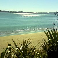 Early morning at Oneroa Bay