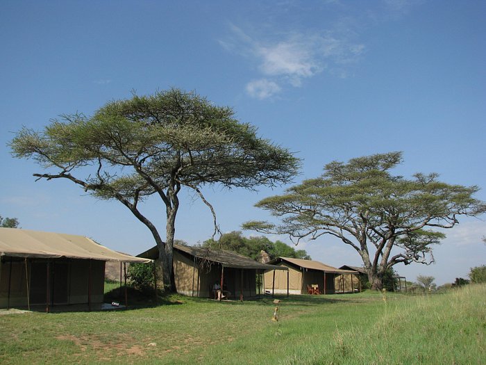 Kisura Serengeti Tented Camp, Get the true flavours of wilderness and  experience an awe-inspiring trip that you can truly cherish for a lifetime  at the Kisura Serengeti Camp