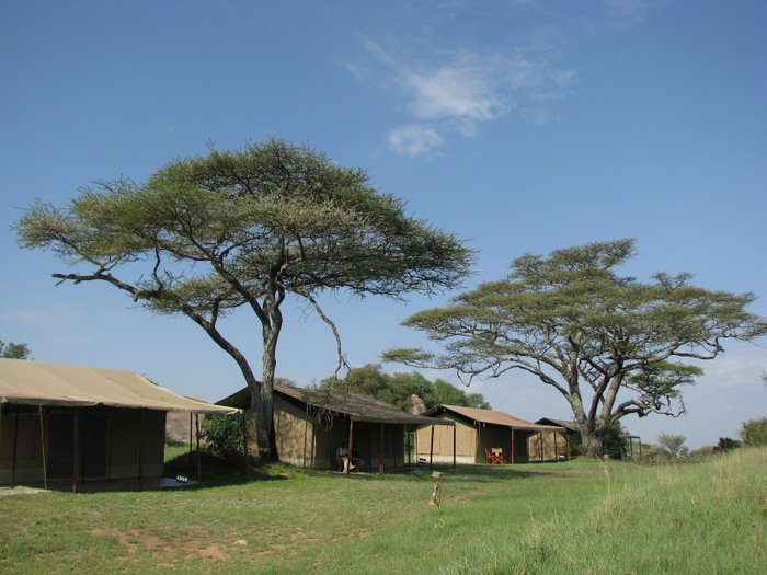 Wilderness Opens High-End Mobile Camp in Serengeti – APTA