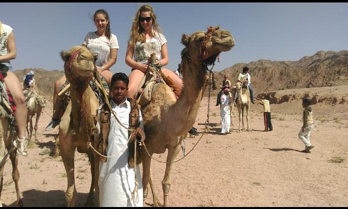 sharm day trips