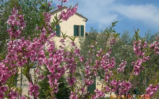 La primavera