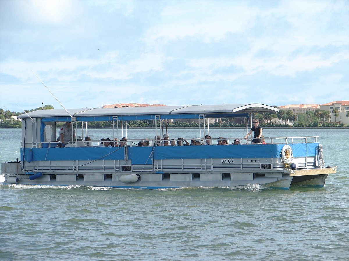 Indian River Lagoon Boat Tours - Dolphin Family Tours