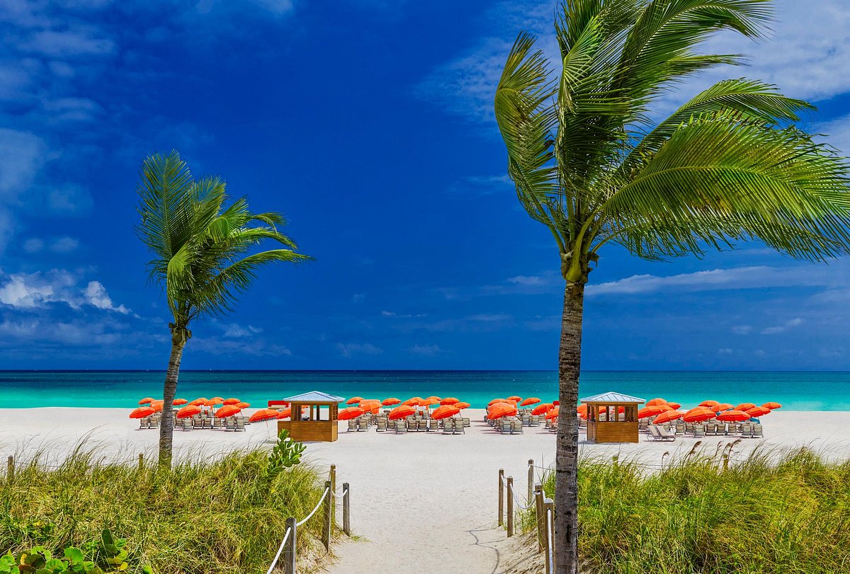 Tribute Portfolio Resort Royal Palm South Beach Miami - UPDATED 2024  Prices, Reviews & Photos (Miami Beach, Florida) - Hotel - Tripadvisor