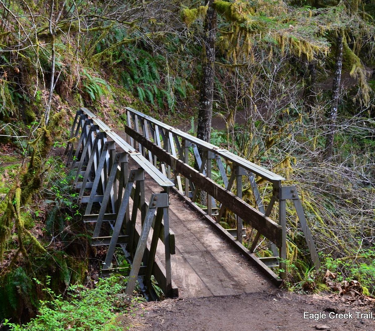 Eagle Creek Trail - All You Need to Know BEFORE You Go (with Photos)