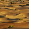 9 Things to do in Liwa Oasis That You Shouldn't Miss