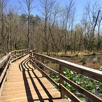 Lake Conestee Nature Park - All You Need to Know BEFORE You Go