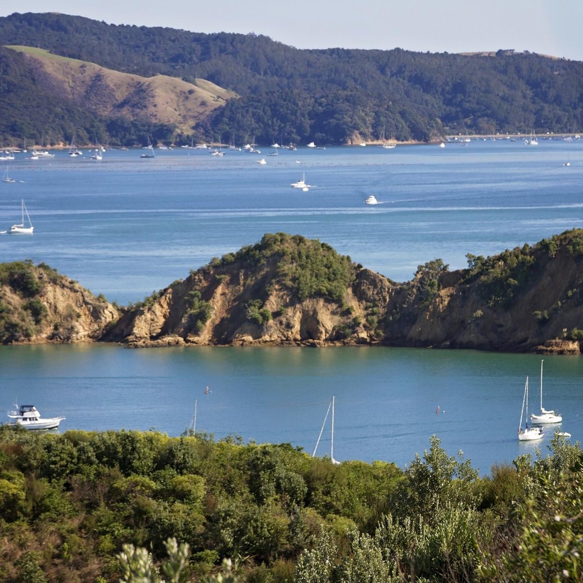 hauraki gulf yacht charter