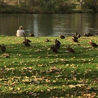 Quiet spot on the Murray