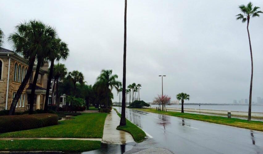 Bayshore Boulevard