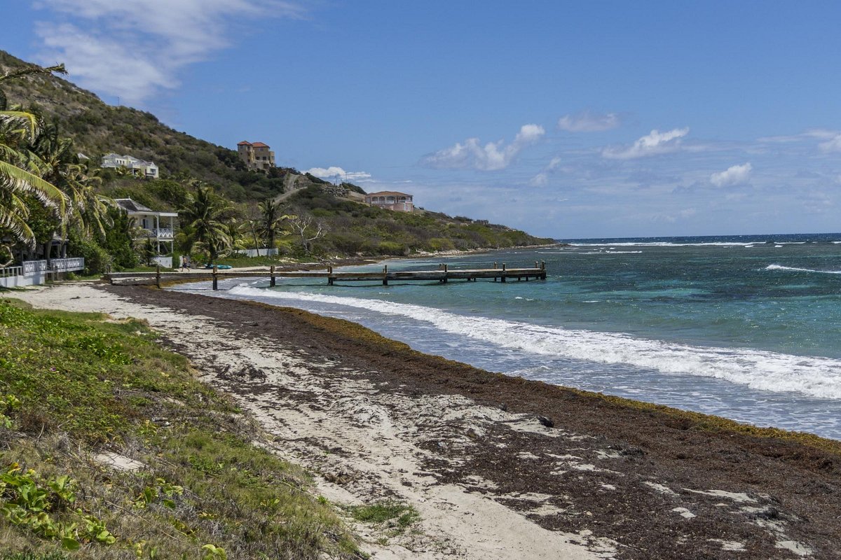 Turtle Beach in Basseterre - Tours and Activities