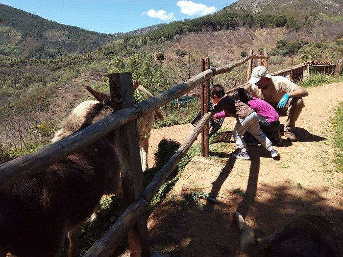 Imagen 9 de Ecoturismo Casa Rural Baños