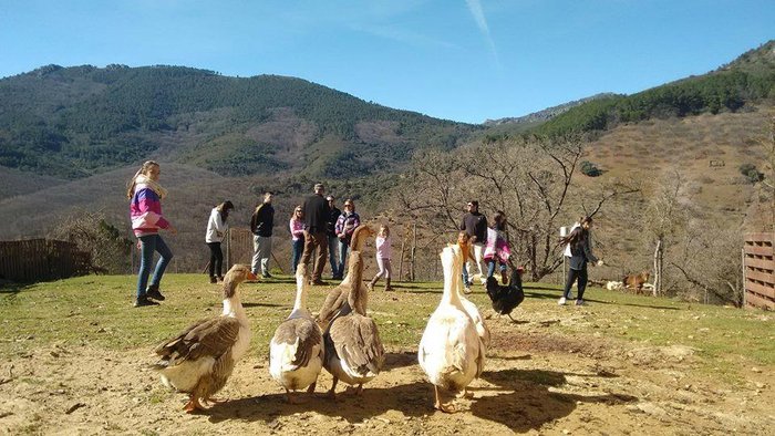 Imagen 3 de Ecoturismo Casa Rural Baños