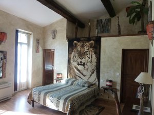 Room & Suite