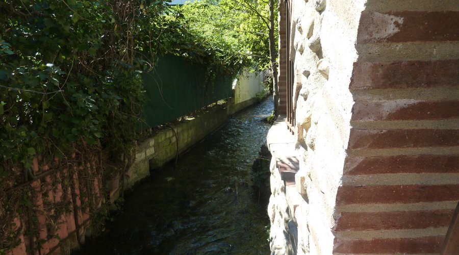 Le ruisseau