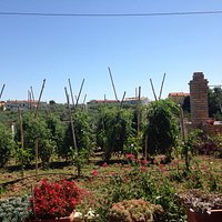 La vista durante il pranzo!