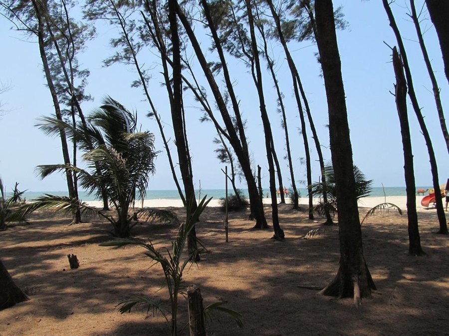 Mtdc Resort Tarkarli Rooms Pictures Reviews Tripadvisor Serving you for 5 years. mtdc resort tarkarli rooms pictures