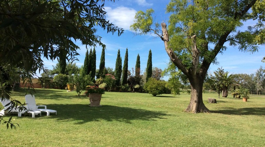 jardin