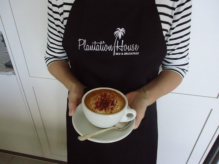 Capuccino - Plantation