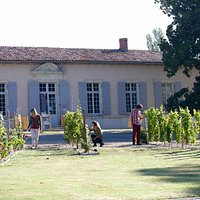 Musée de la vigne et du vin