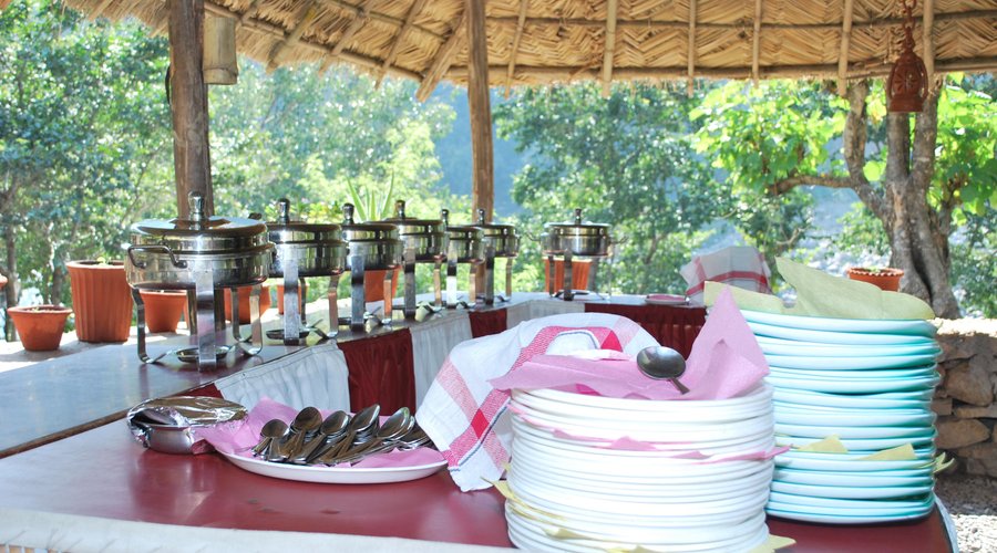 nature dining