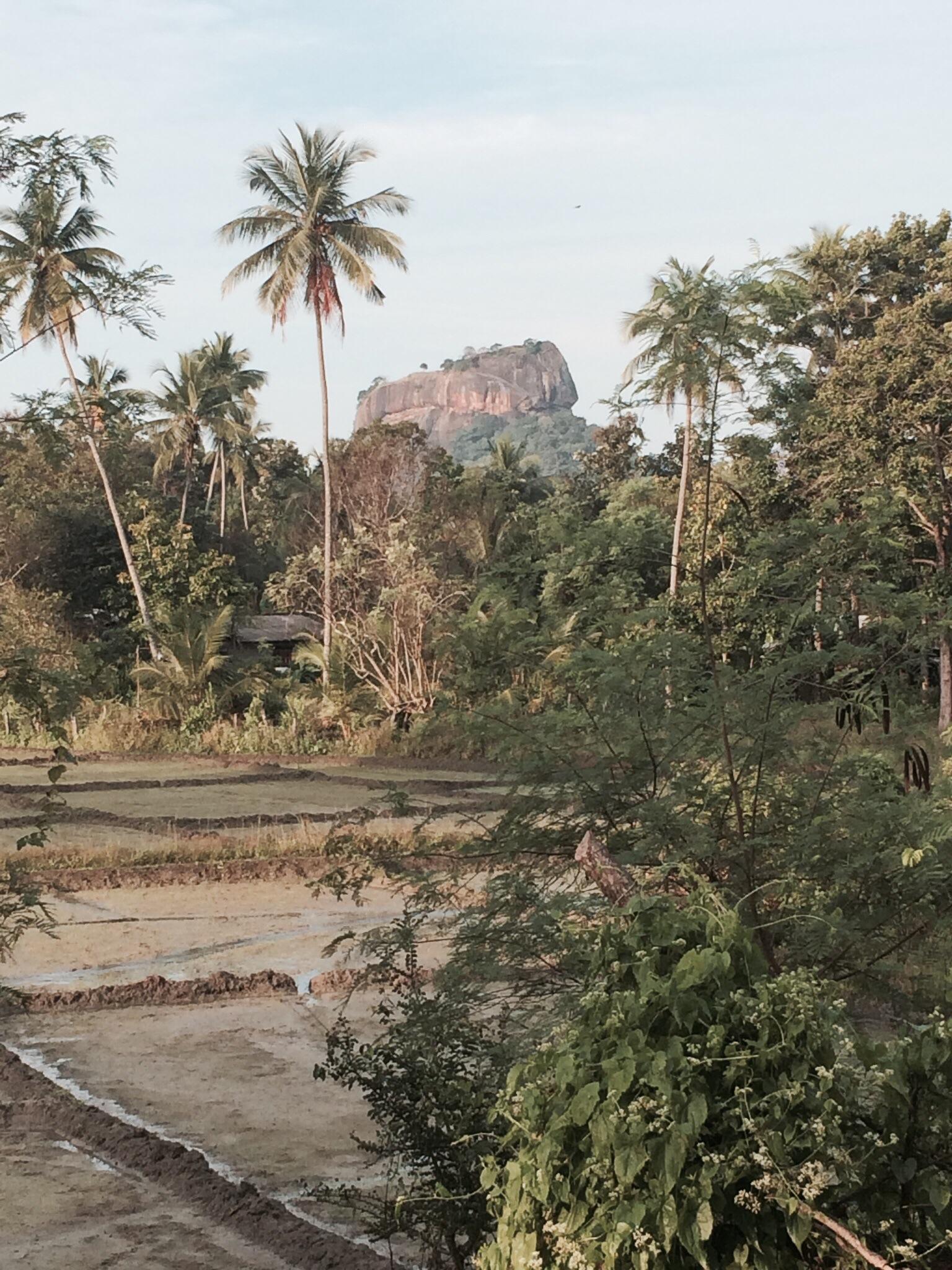 Sun Rise In Lanka Balooning (Sigiriya) - 2022 Lo Que Se Debe Saber ...