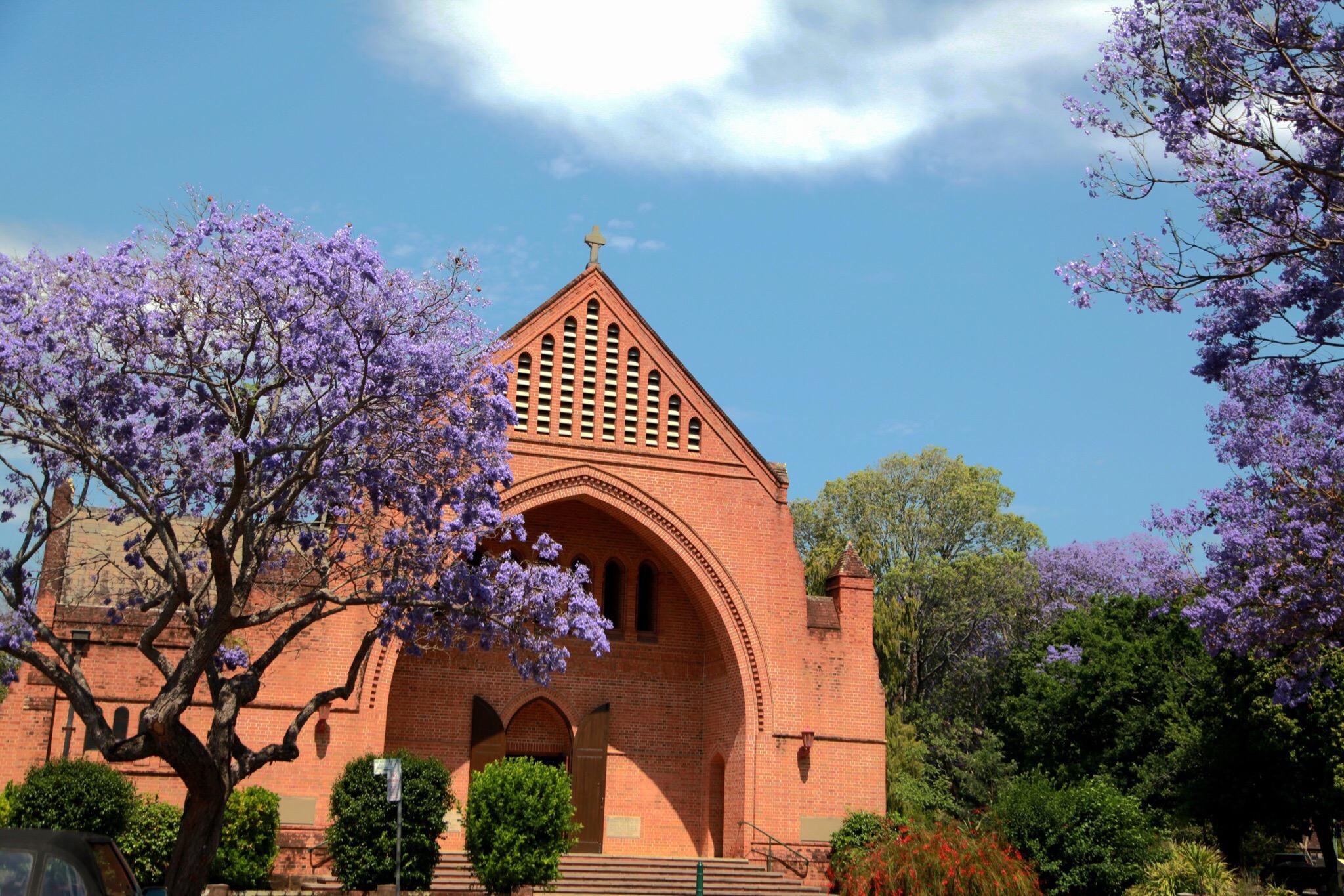 Christ Church Cathedral, Grafton