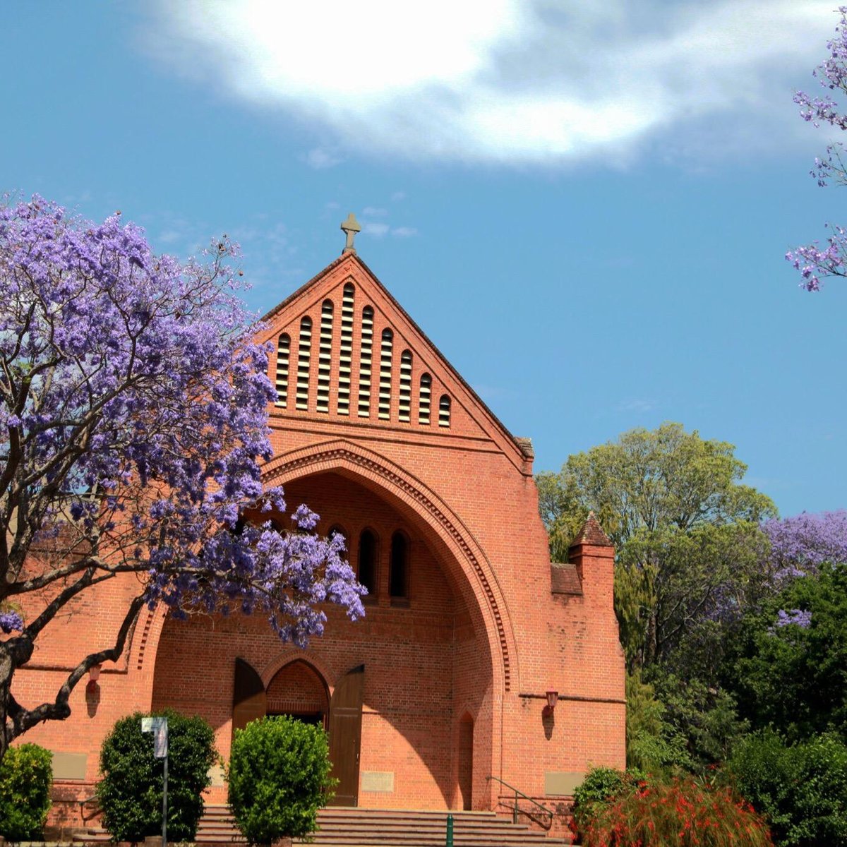 christ-church-cathedral-grafton