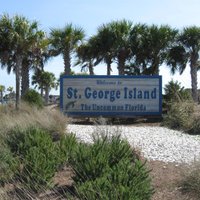 Saint George Island State Park (St. George Island) - 2021 All You Need ...