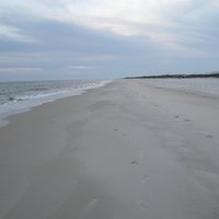 Saint George Island State Park (St. George Island) - 2021 All You Need ...