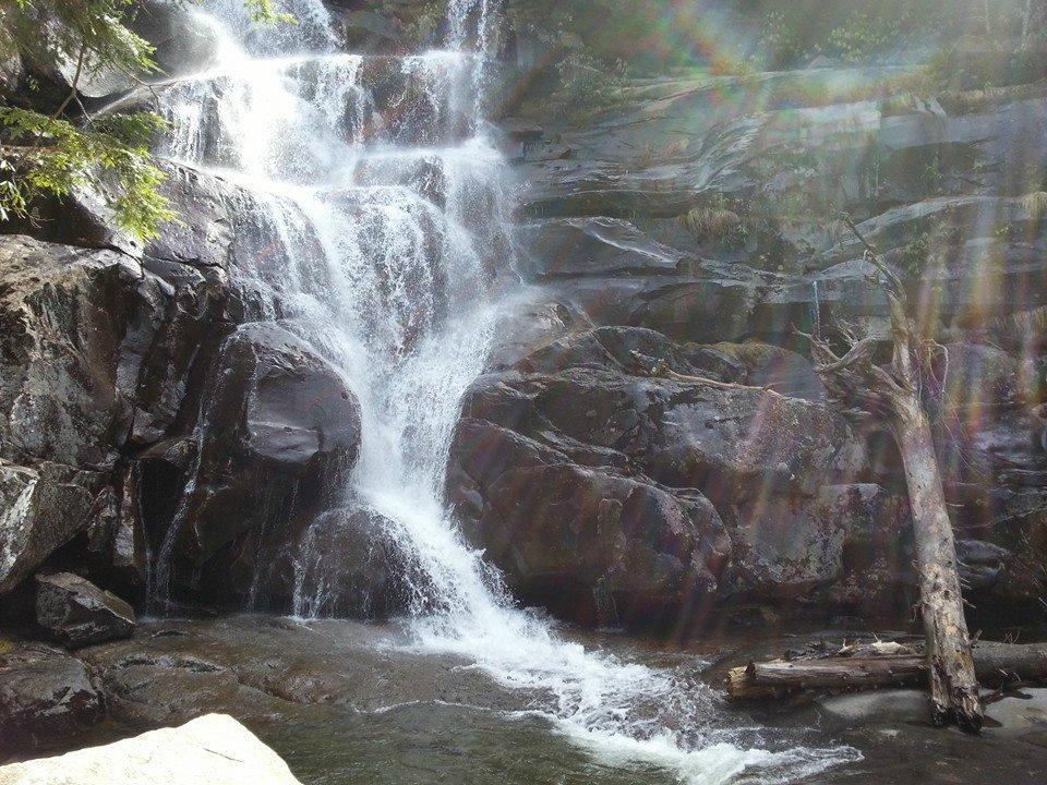 Ramsey cascades discount