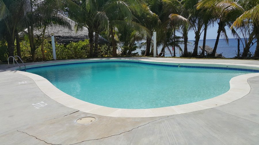 The Swimming Pool