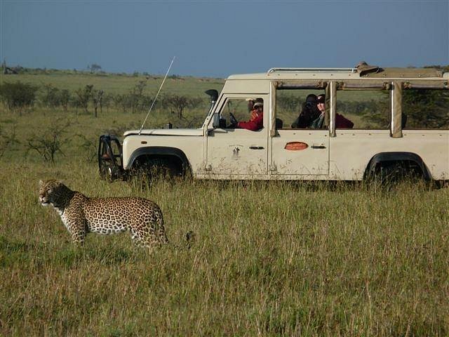 game watchers safaris