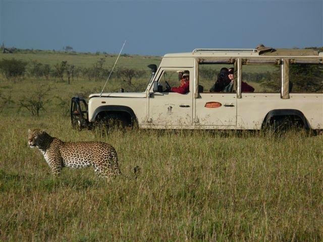 Gamewatchers Safaris - All You Need to Know BEFORE You Go (2024)