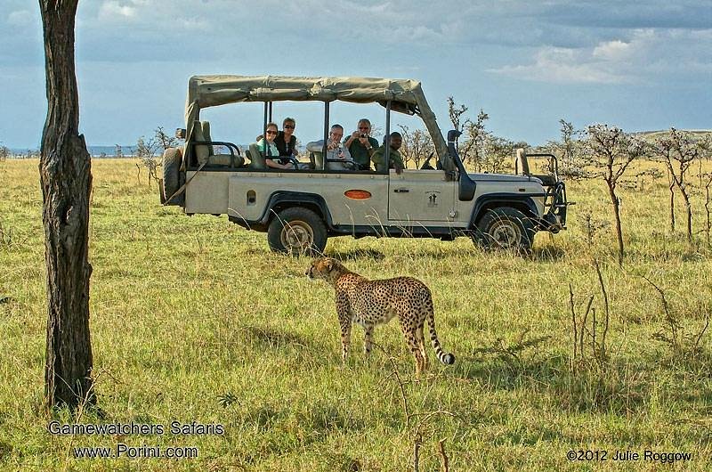 game watchers safaris