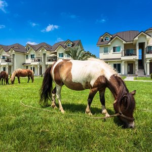 getlstd_property_photo