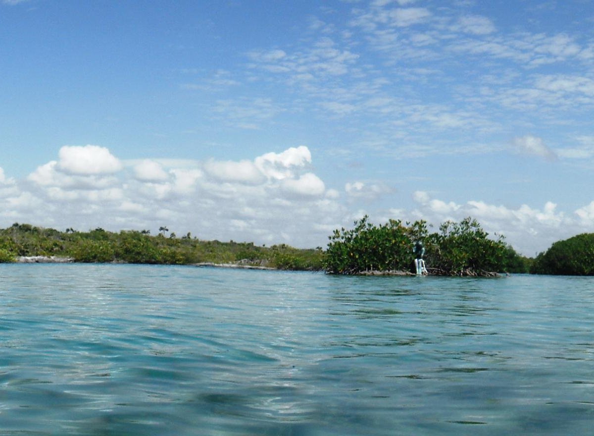 CENOTES AND PARADISE LAGOON BY CANCUN ADVENTURES (Playa del Carmen ...