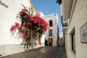 Habitaciones y suites