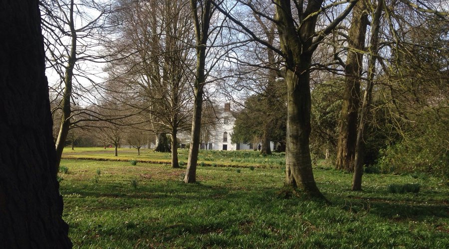 Rear view through the trees