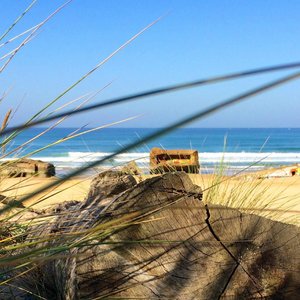 the beach